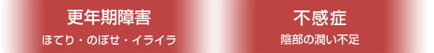 更年期障害(ほてり のぼせ イライラ) 不感症(腟の萎縮 性交時の痛み)