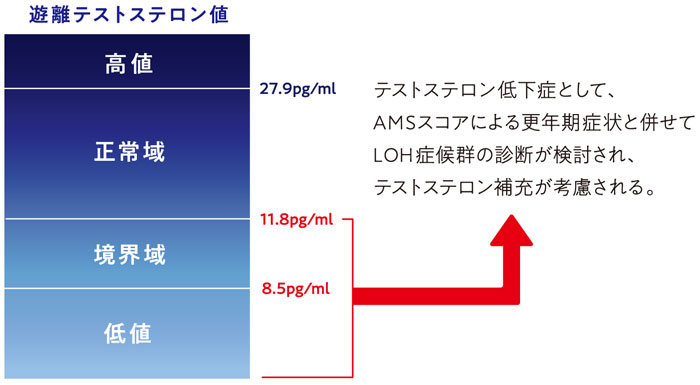 血清遊離テストステロン濃度の測定