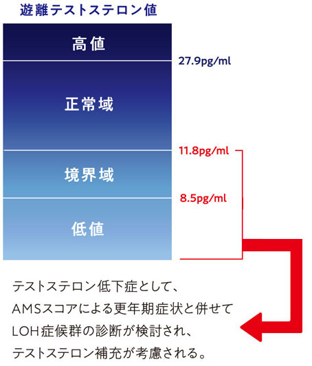 血清遊離テストステロン濃度の測定