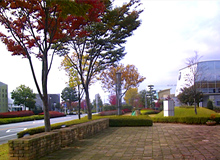 「アリア」構内の環境と景観