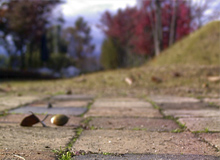 「アリア」構内の環境と景観